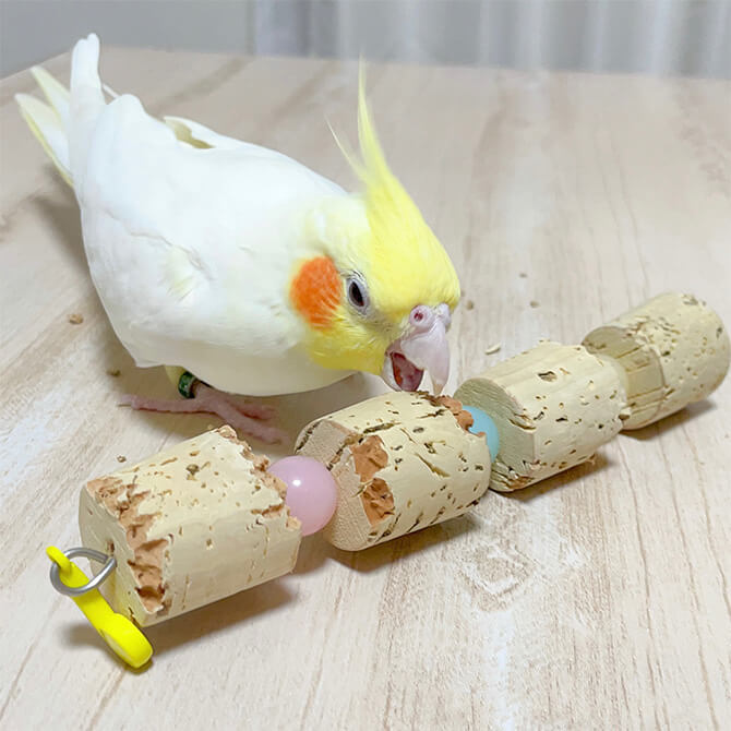 鳥のおもちゃで遊ぶインコの写真