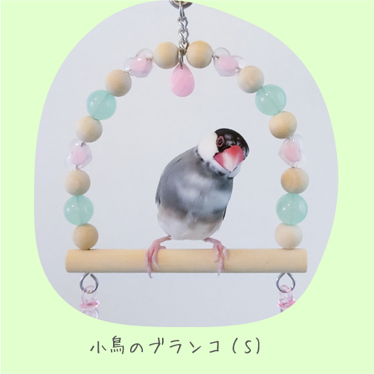 鳥のおもちゃで遊ぶインコの写真