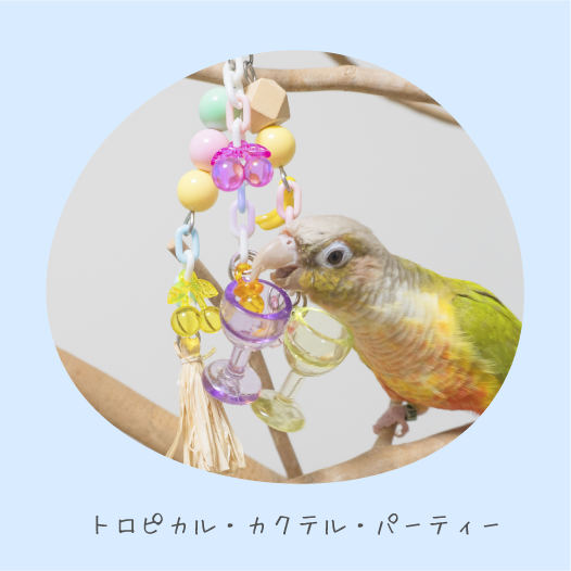 鳥のおもちゃで遊ぶインコの写真
