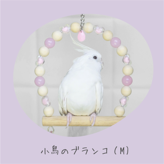 鳥のおもちゃで遊ぶインコの写真