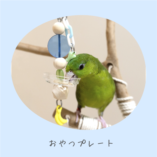 鳥のおもちゃで遊ぶインコの写真