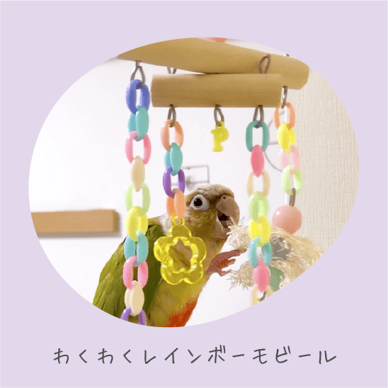 鳥のおもちゃで遊ぶインコの写真